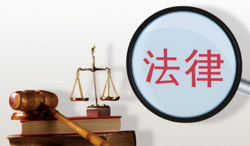 城管執法悲劇與化工產品的社會責任反思