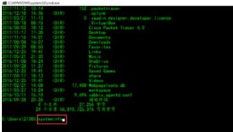 計(jì)算機(jī)信息統(tǒng)計(jì)與信息技術(shù)開發(fā)指南